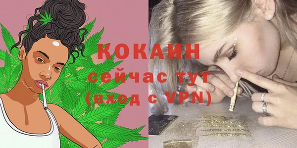 не бодяженный Арсеньев