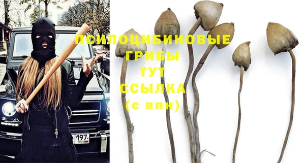 не бодяженный Арсеньев