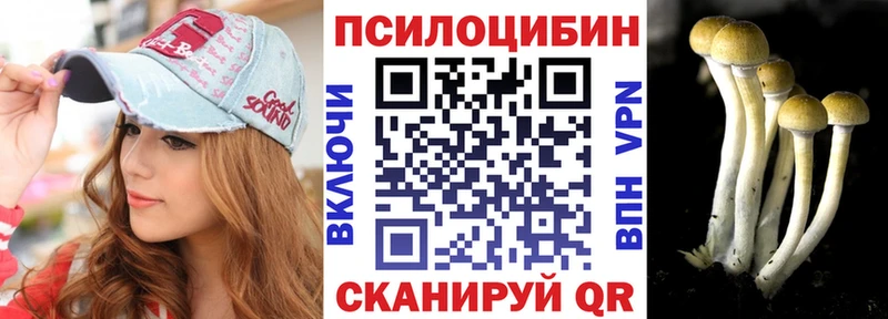 Псилоцибиновые грибы Cubensis  блэк спрут вход  Пустошка 